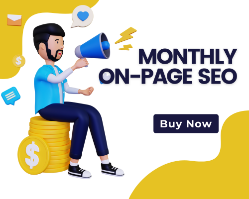 monthly on-page seo by bd seo lab